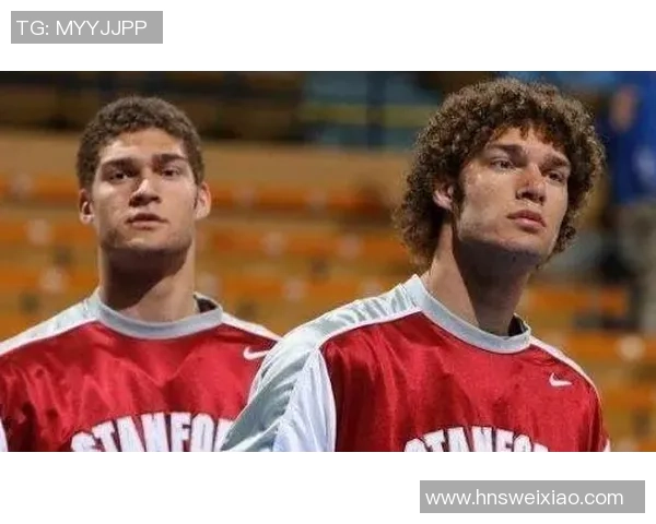 布鲁克洛佩斯：从篮坛巨星到球队领袖的华丽转身与奋斗历程