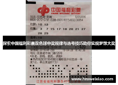 探索中国福利彩票双色球中奖规律与选号技巧助你实现梦想大奖