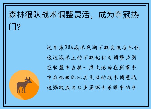 森林狼队战术调整灵活，成为夺冠热门？