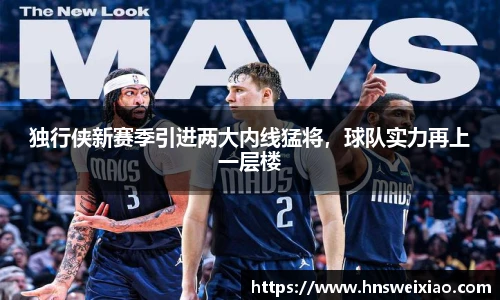 独行侠新赛季引进两大内线猛将，球队实力再上一层楼